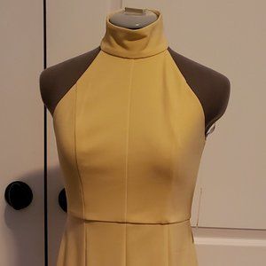 Sleeveless Donna Morgan dress